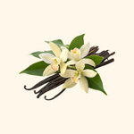 Vanilla 