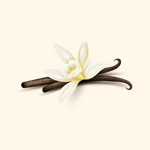 Vanilla 
