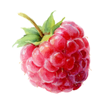 Raspberry